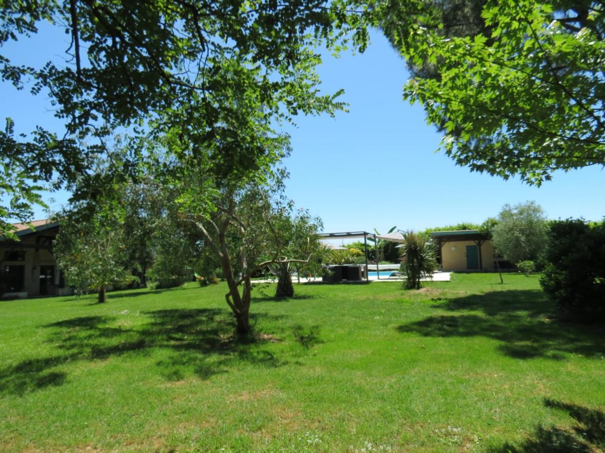 Les Hortensias Caumont-sur-Garonne Exteriör bild